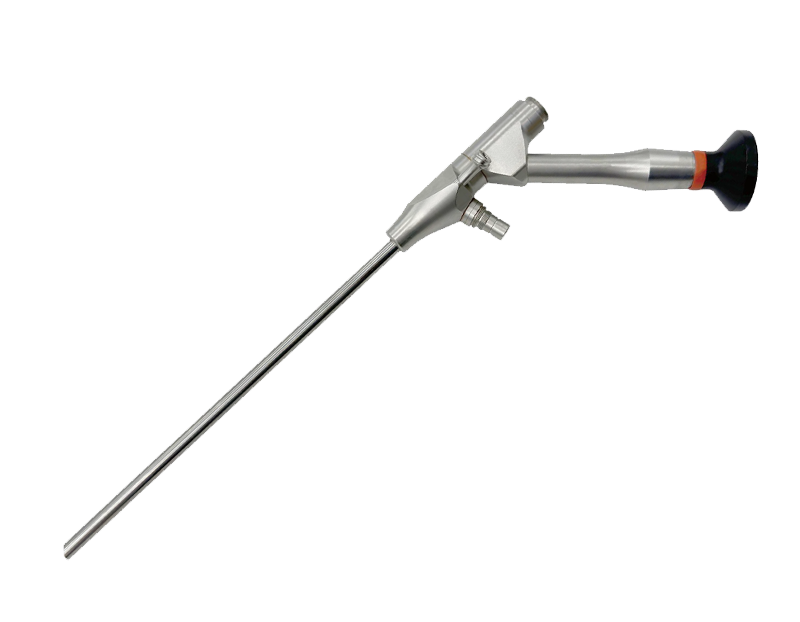 Spinal endoscope