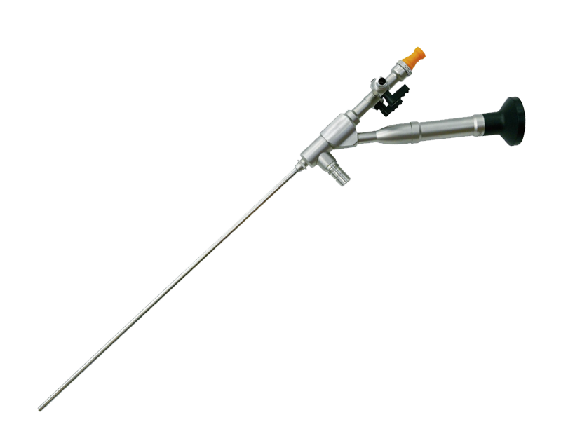Transcutaneous Nephroscope